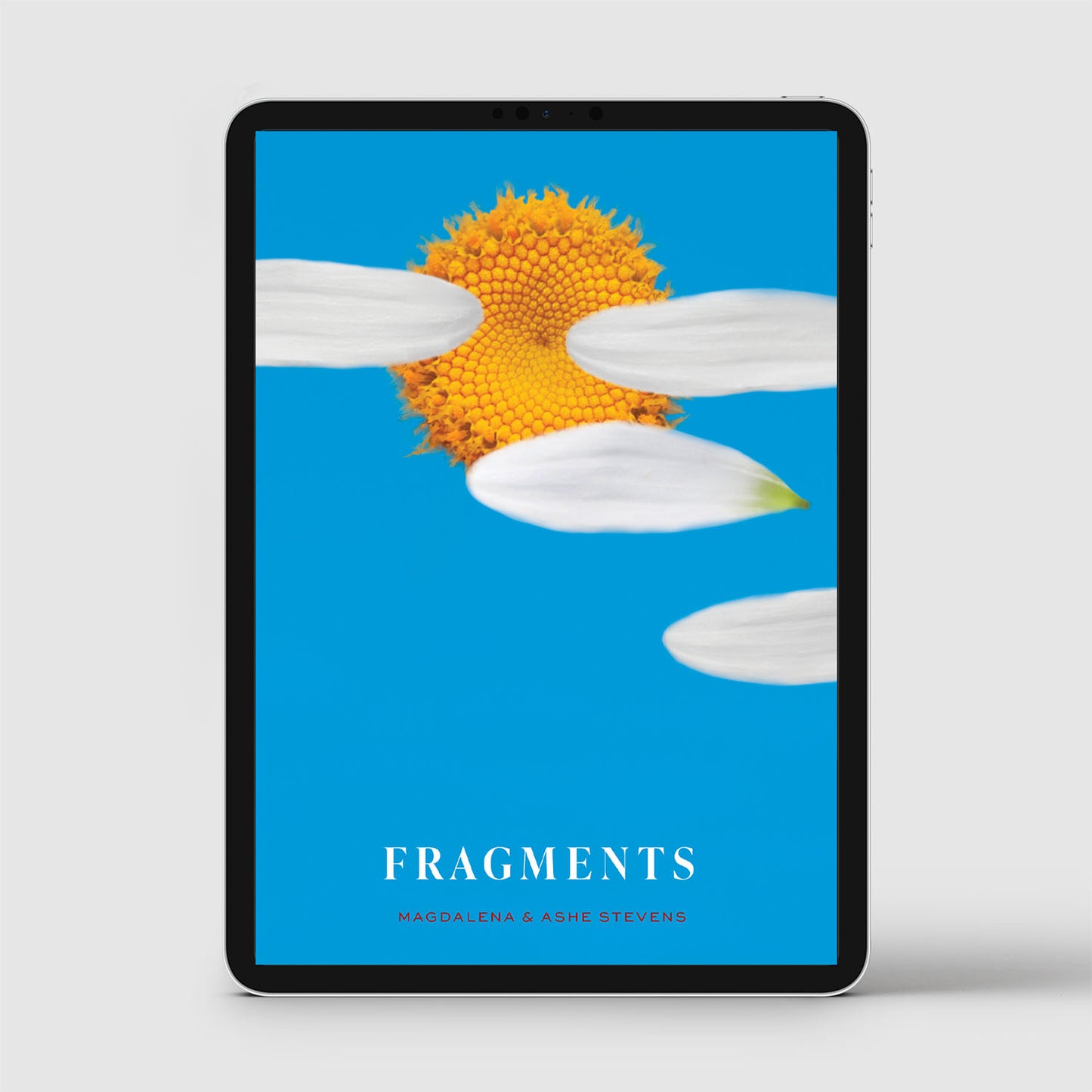 Fragments