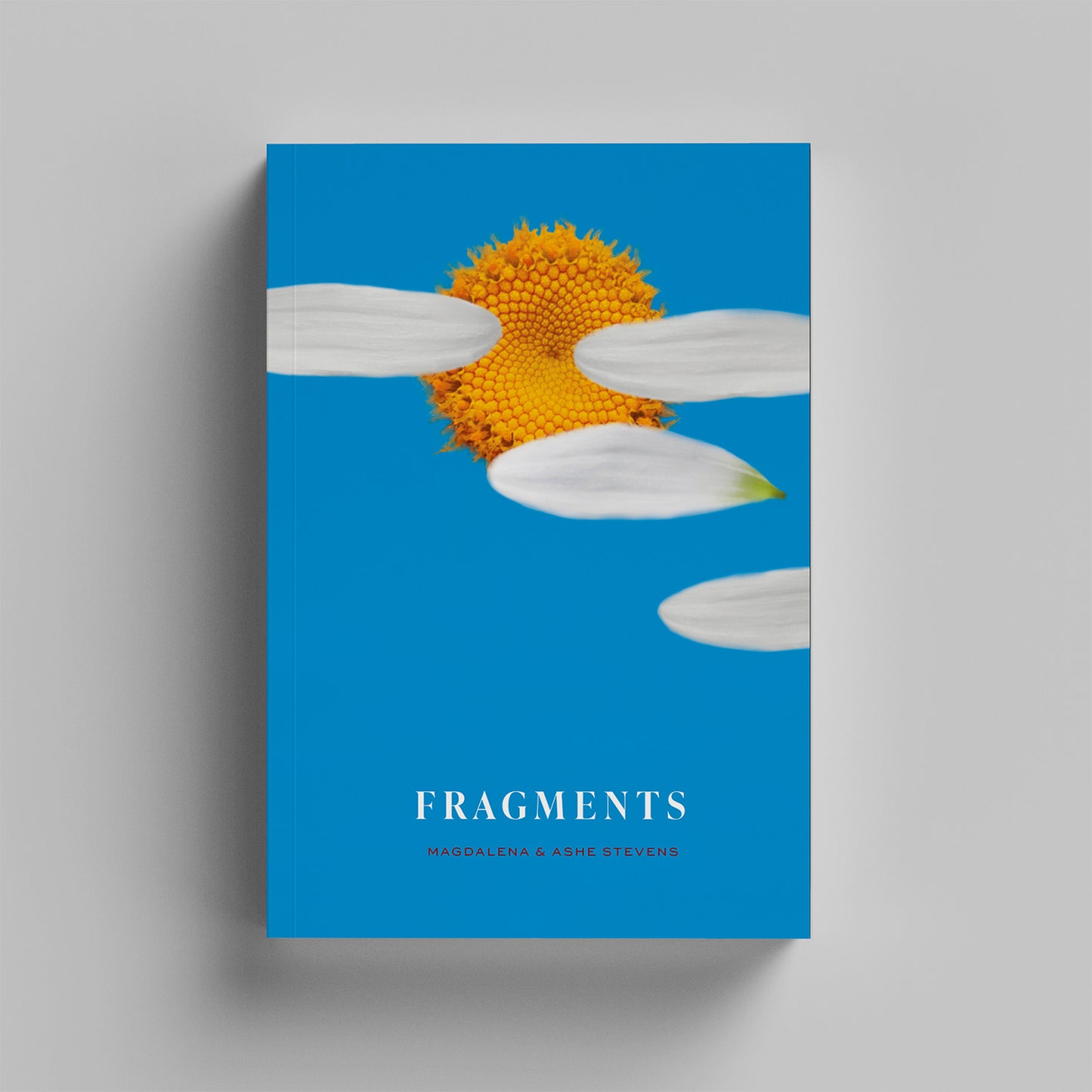 Fragments